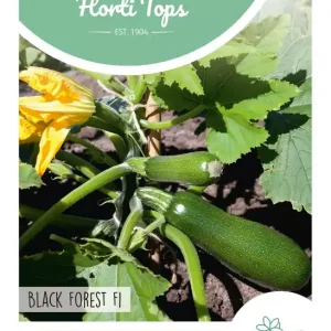 Courgette Black Forest F1 (klimmend)