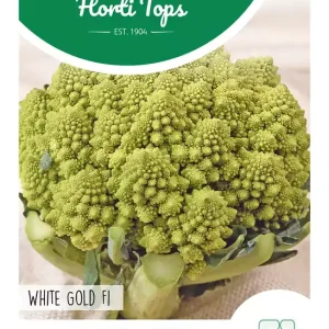 Groene Bloemkool, White Gold F1
