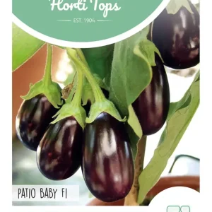 Aubergine mini Ophelia F1