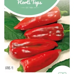 Paprika Atris Hybride F1 (Rode Koehoorn)