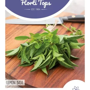 Basilicum Citroensmaak Lemon Basil, Kemangi