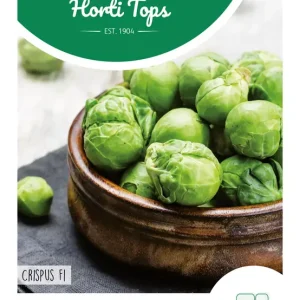 Spruitkool Crispus F1