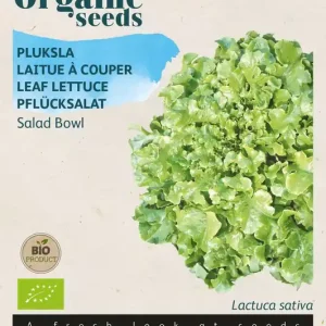 Pluksla Salad Bowl, groen