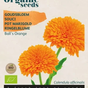 Calendula, Goudsbloem Ball's Orange