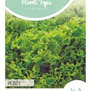 Salanova, Vincinity (groen)