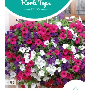 Petunia, Hangpetunia gemengd