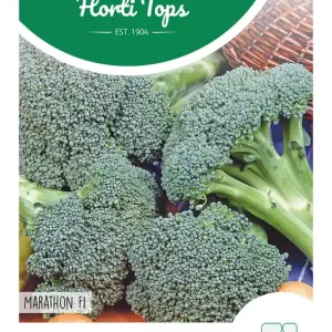 Broccoli Marathon F1