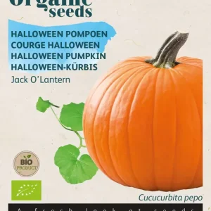 Halloween pompoen Jack O??lantern