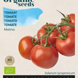 Tomaat Matina