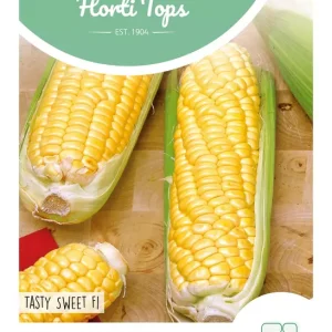 Suikermais Tasty Sweet F1