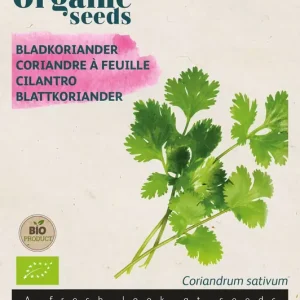 Koriander (bladkoriander)