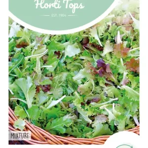 Mesclun, Frans Salademengsel