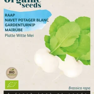 Raap Platte Witte Mei