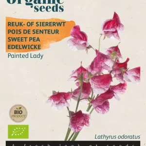 Lathyrus, Reuk- of siererwt Painted Lady