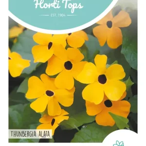 Thunbergia, Suzanne-met-de-mooie-ogen