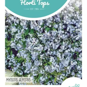 Myosotis, Vergeet-me-nietje blauw