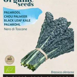 Palmkool Nero di Toscana