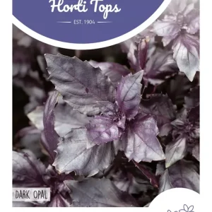 Basilicum Rode, Dark Opal