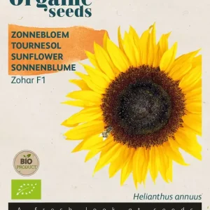 Helianthus, Zonnebloem Zohar F1