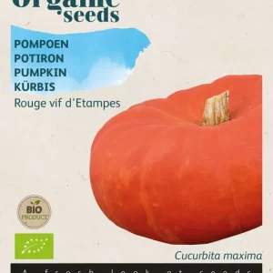 Pompoen Rode van Etampes