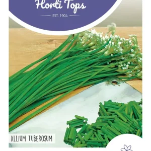 Chinese Knoflookbieslook