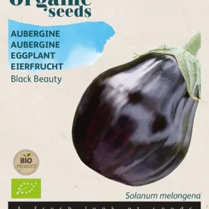 Aubergine Black Beauty