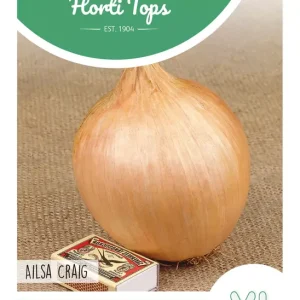 Ui Ailsa Craig, Sel. Exhibition Reuzen Ui