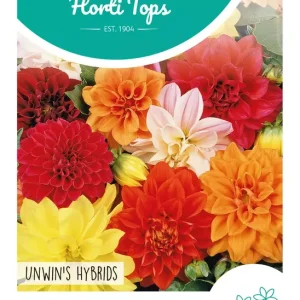 Dahlia Unwin's hybride gemengd