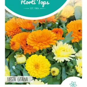 Calendula, Goudsbloem Fiesta Gitana gemengd