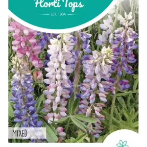 Lupine, Lupine gemengd