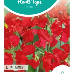 Lathyrus, Reuk- of Siererwt Royal Family Rood