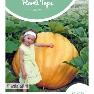Pompoen Atlantic Giant