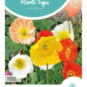 Papaver, IJslandse Papaver gemengd