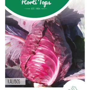 Spitskool Kalibos, rood