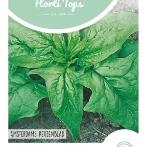 Spinazie Amsterdams Reuzenblad Scherpzaad, 15 Gram