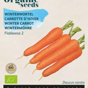 Winterwortel Flakkese 2