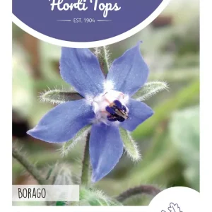 Komkommerkruid, Borage
