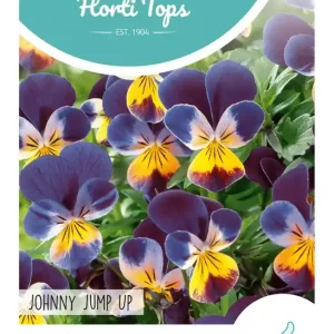 Viola, Hoornviooltje Johnny Jump Up