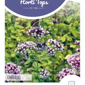Marjolein, Oregano