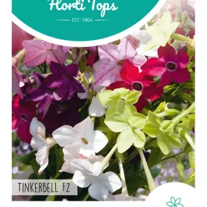 Nicotiana, Siertabak Tinkerbell F2 laag
