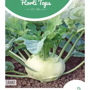 Koolrabi Lanro