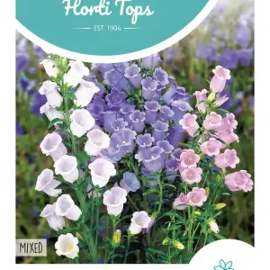 Campanula, Mari?tteklokje enkelbloemig gemengd