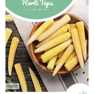 Mais Minipop F1
