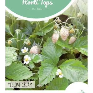 Bosaardbei, Yellow Cream