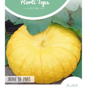 Pompoen Jaune de Paris, type Gele Reuzen
