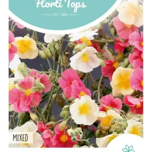 Helianthemum, Zonneroosje gemengd