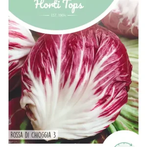 Roodlof Radicchio Rossa Di Chioggia