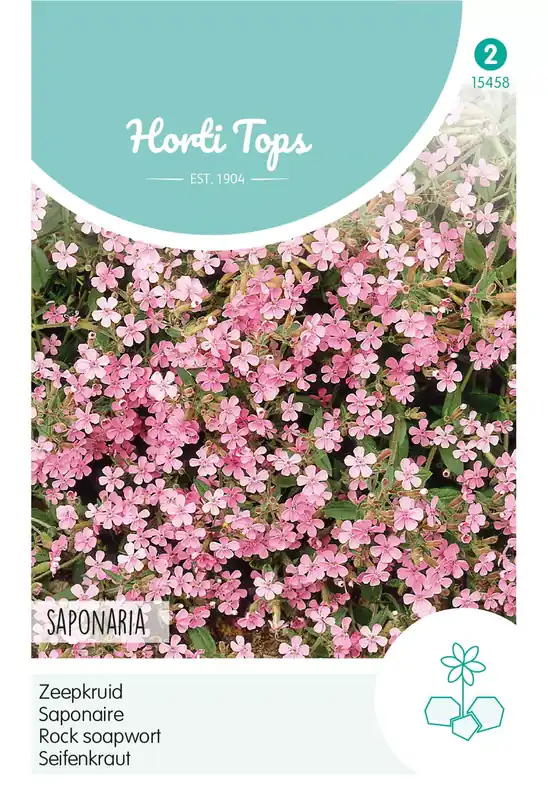 Saponaria, Zeepkruid Rose