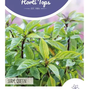 Basilicum Siam Queen