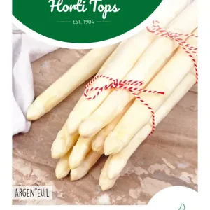 Asperge Argenteuil